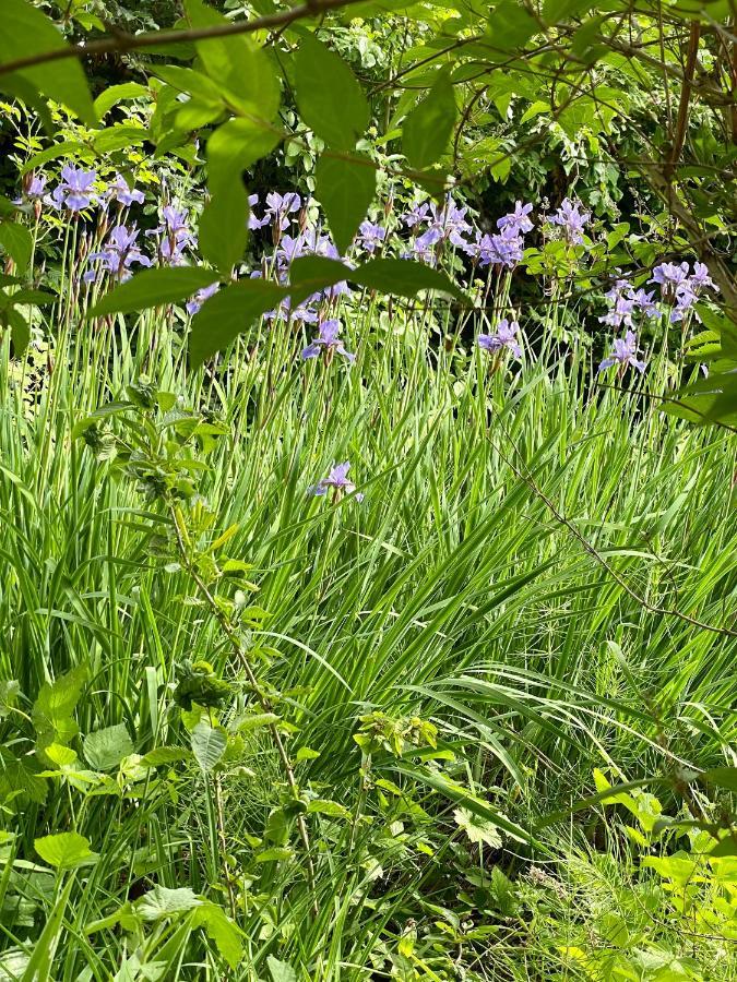 Freiblick 1 Bad Glbg Mit Garten Top1 Bad Gleichenberg Esterno foto