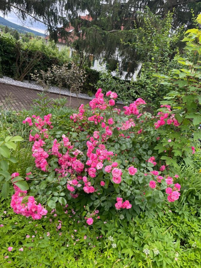 Freiblick 1 Bad Glbg Mit Garten Top1 Bad Gleichenberg Esterno foto